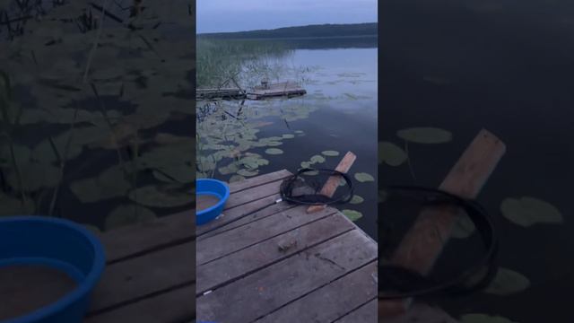 Рыбалка на фидер. Опять ночь без сна :) смотреть онлайн