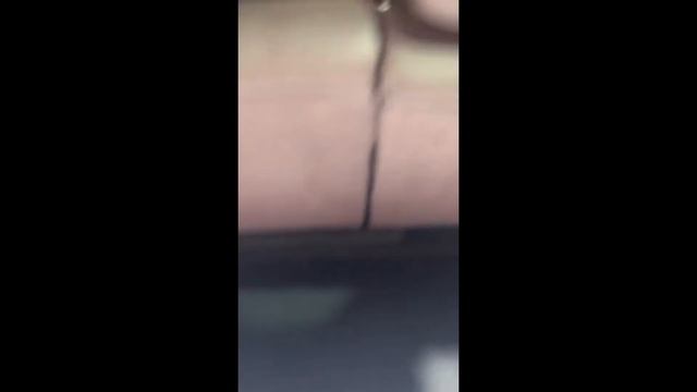 2019 GAC Trumpchi GM6 Appearance, Interior & Room смотреть онлайн