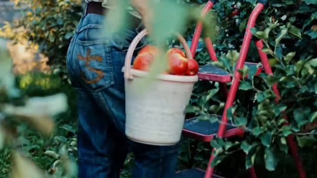 Мы вернем сельхоз кредиты по 7% смотреть онлайн