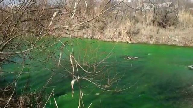 Вода в реке Аламедин окрасилась в зеленый цвет смотреть онлайн
