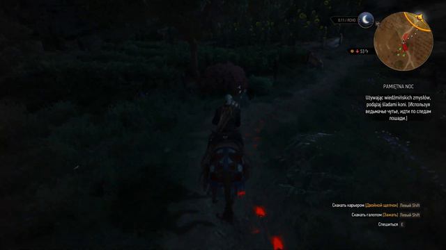 [The Witcher 3] A Night to Remember: playthrough (Polish dubbing! PL+RU subs, 2 outcomes) смотреть онлайн