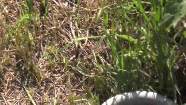 Снова и в это лето нужно устроить просмотровый зал. "Я – легенда". 18. 06. 17 смотреть онлайн
