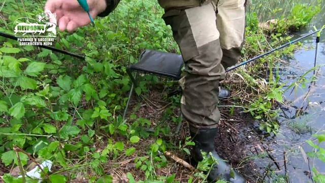 БОЛЬШОЙ УЛОВ. VLOG: Ловля крупного линя. п. Лесное Неманского района. "У Миши". смотреть онлайн