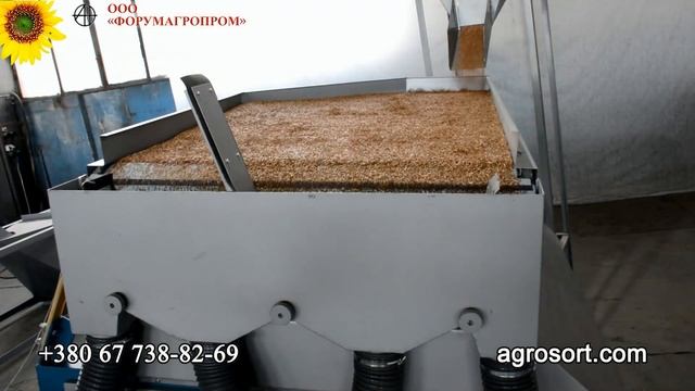 очистка семян льна на вибропневмостоле / cleaning flax seeds on a vibropneumo exciter смотреть онлайн