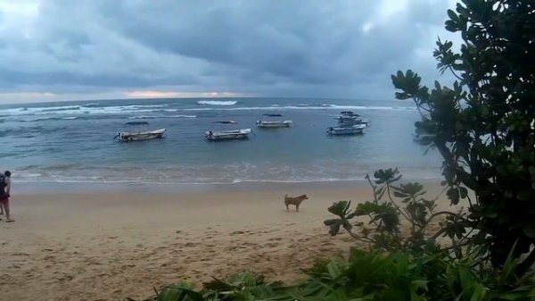 Coral Sands 3*_ Hikkaduwa _ Sri Lanka