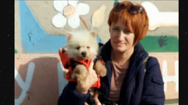"Г О Л А Я ХОХЛАТАЯ" собачка неделями бегала на морозе собирая объедки... смотреть онлайн