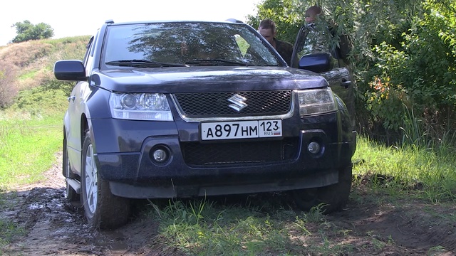 Фазаны у дома