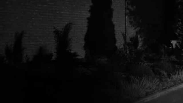 Night Caller смотреть онлайн