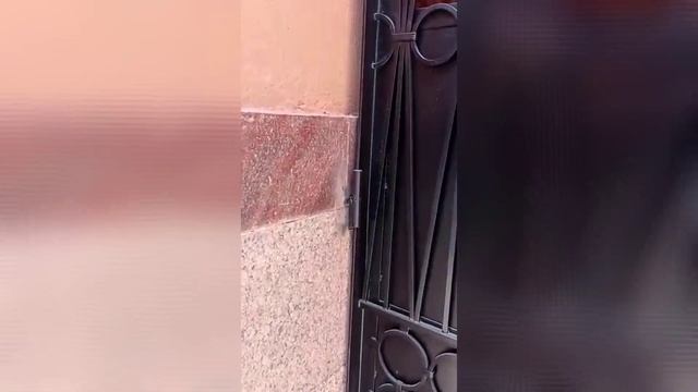 Распашные ворота с ковкой в арку.