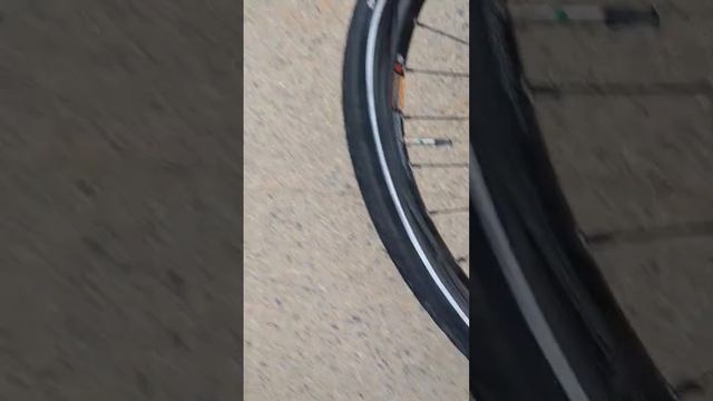 Castrophically Bike Tire Failure смотреть онлайн