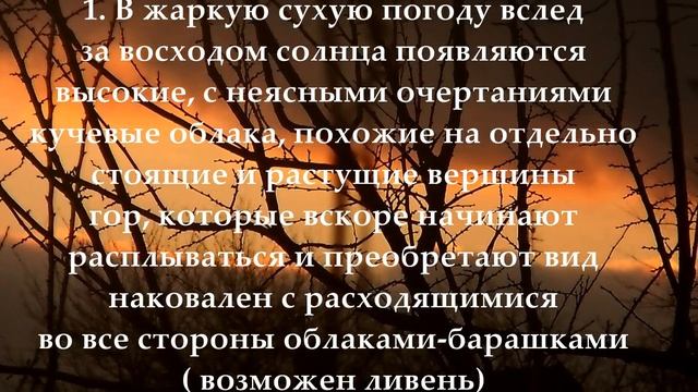 Народные приметы о погоде смотреть онлайн