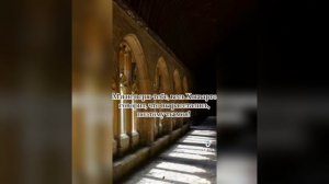 фф из тик тока про Драко Малфоя и т/и «больше чем враги»?? часть 12