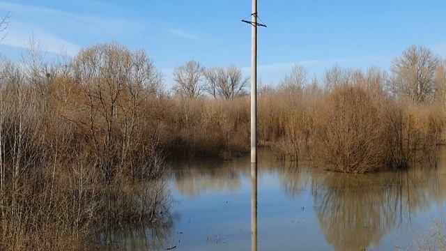 Река Латорица вышла из берегов. Весна. Февраль.2020 смотреть онлайн