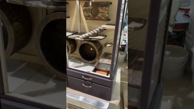 Двойная витрина для шиншилл с брашировкой | Полки от натоптышей | Мир Шиншилл смотреть онлайн