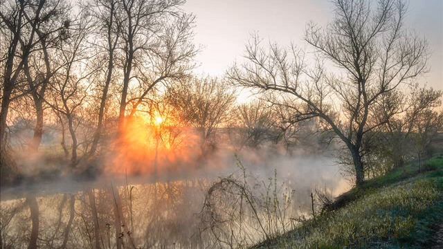 Бледнеет ночь ("Бледнеет ночь... Туманов пелена"), Бунин Иван смотреть онлайн