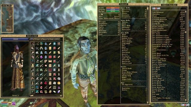 Morrowind LP 55 - The Cost of Detail (Overhaul 3.0 and Tamriel Rebuilt) смотреть онлайн