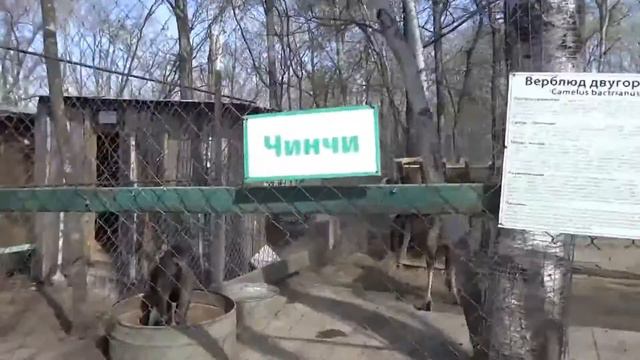 Зоопарк Владивостока долбаного 4 смотреть онлайн