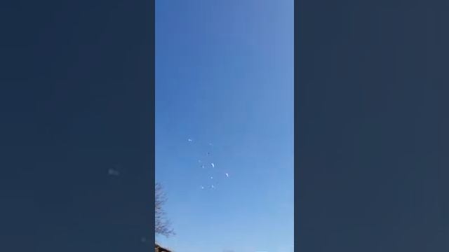 Бойные голуби Казахстана, Петра Ан Талдыкорган. смотреть онлайн