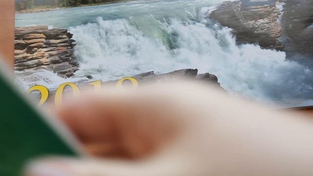 Болталка №4. Вышивка. Участие в фотоконкурсе. Проект "ДневникВышивальщицы" смотреть онлайн