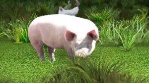 говорят  животные 3 / (голоса животных) / Talking animals cartoon