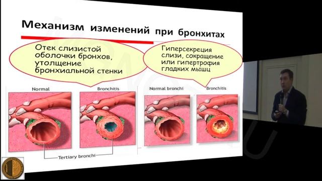 16 11 15 ВШТ Видеолекция 2 смотреть онлайн