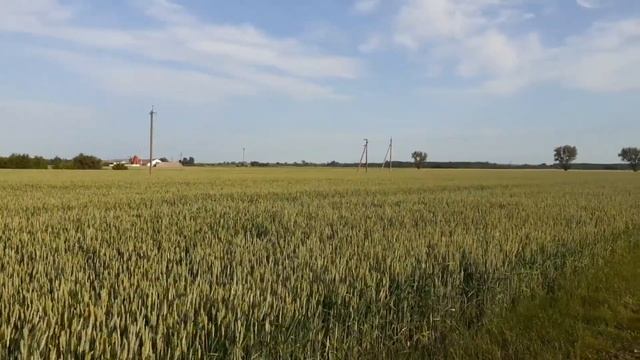 ЖИЗНЬ В ДЕРЕВНЕ/А ПРАВИЛЬНО ЛИ ЖИВЁМ?/НОВОСТИ ПРО РЕМОНТ смотреть онлайн