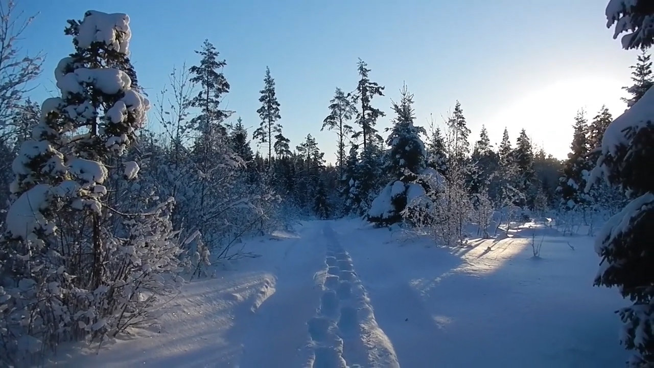 Легкоходный эксперимент \ -10 Тент \ Поход на 4 дня смотреть онлайн