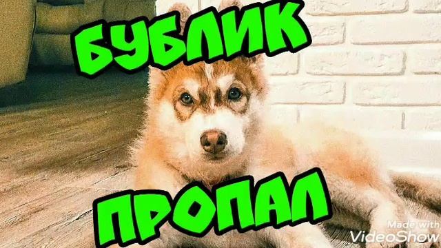 Янтарные глазки для бублика смотреть онлайн