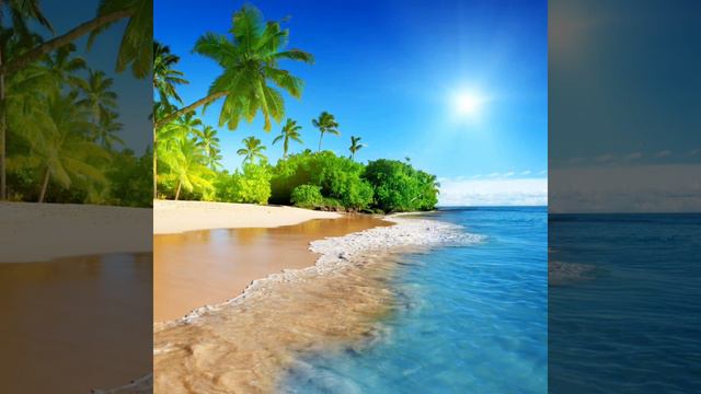 Саксофон 🎷 природа и релакс Сергей Чекалин Людмиле А ❤️🌿Володе❤️ смотреть онлайн