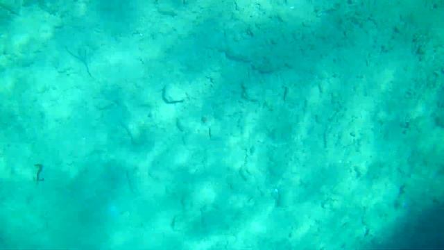 Поиски в Турции, поднял ЗОЛОТО на Эгейском Море, без поискового магнита