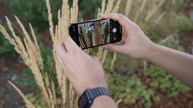 IPhone 13 Vs. IPhone 13 Pro: Ich Habe Mich Geirrt!