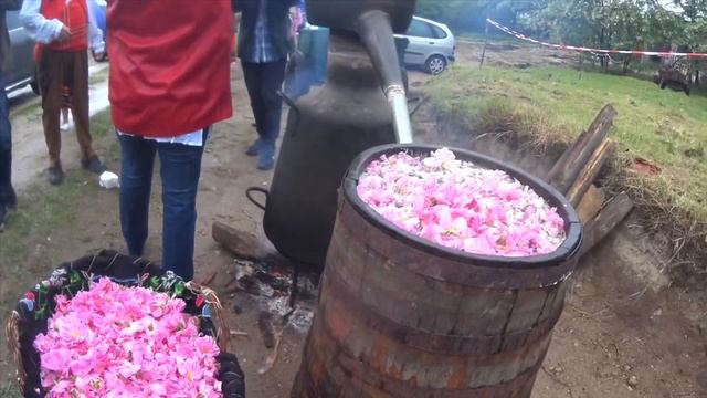 Болгария. Фестиваль роз. Розобер