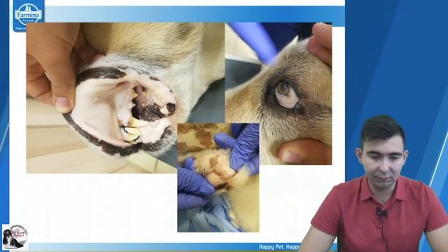 Владислава Костылев. Кардиология и первичный осмотр смотреть онлайн