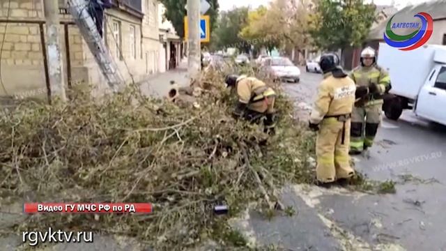 Разрушенные кровли, падающие деревья и перебои с электричеством – последствия сильного ветра смотреть онлайн