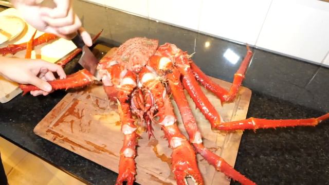 海外の市場で1匹5万円のとんでもない生物を買ってしまいました。。。【ニュージーランド】 смотреть онлайн