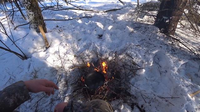 УШЁЛ ОДИН В ЛЕС ЗИМОЙ! НАШЁЛ МЕСТО ГДЕ ЛОСИ ЖИВУТ. ЕДА НА КОСТРЕ БУШКРАФТ! смотреть онлайн