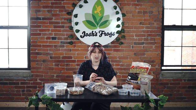 How to Build a Humid Hide | Josh's Frogs смотреть онлайн