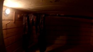 Лес, делянка, трактор Т-40, передвижная баня.