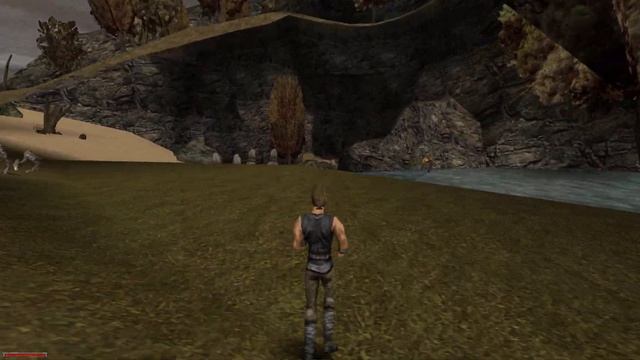 Gothic I 3 Что скрывает Пиранья?! Найди Топ 10 лучшего одноручного оружия на старте смотреть онлайн