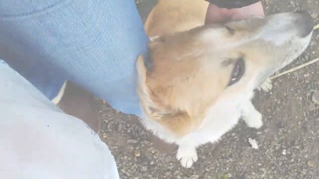 Подари дом малышам .... смотреть онлайн