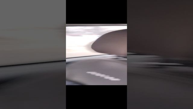 место кота в машине