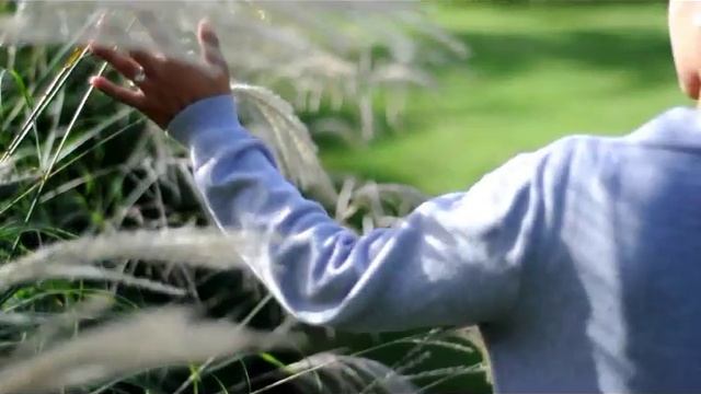 A walk in a dream Nikon D90 50mm f1.8 смотреть онлайн