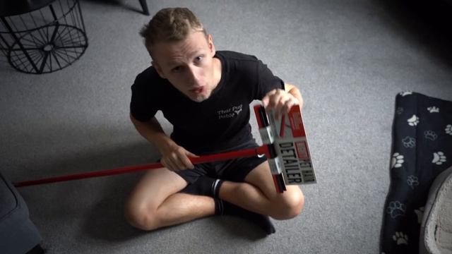 The Ultimate Tool For Cleaning Up Pet Hair! смотреть онлайн