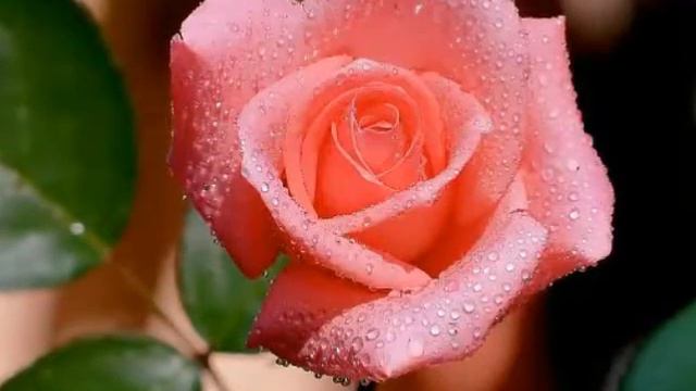 Хороший день 8 марта. смотреть онлайн