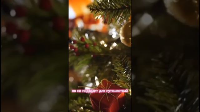 Прогноз с 8 по 14 января 2024 года _ Астрологический прогноз гороскоп для всех знаков зодиака смотреть онлайн