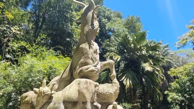 Сейшелы. Национальный Ботанический Сад. смотреть онлайн