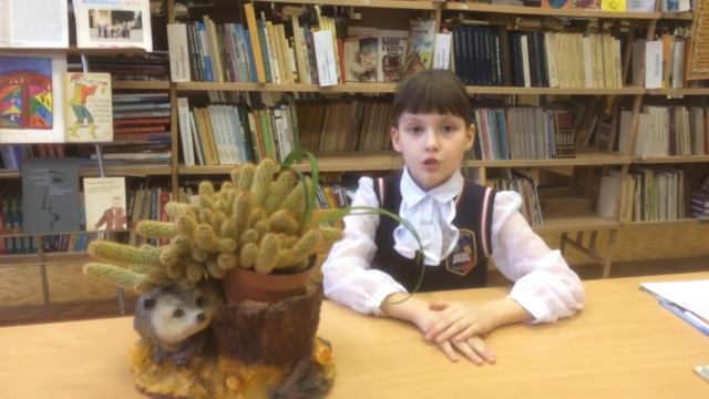 IMG 3913 Страна читающая. Ольга Быкова читает стихотворение Л. Николаенко смотреть онлайн
