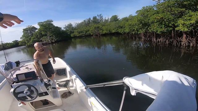 Fishing Inshore Mangroves with Shrimp! | Mako Pro Skiff 17 смотреть онлайн