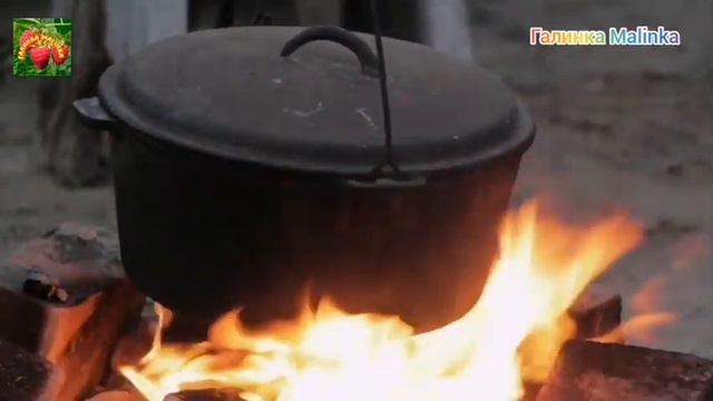 Яна и Игорь Флорида //Обзор Влогов //Яна 4 килограмма //