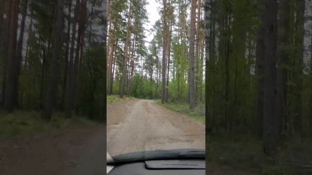 Подъезд к рыболовному парку "ВУОХЕНСАЛО" смотреть онлайн